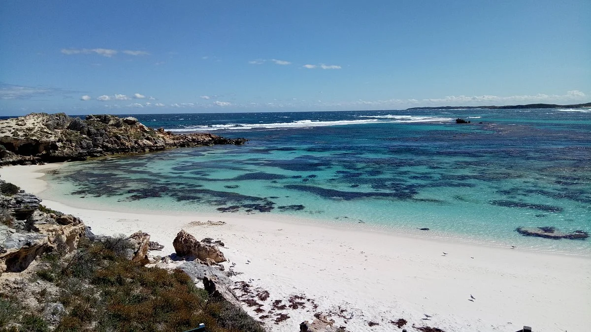 Salmon Bay
