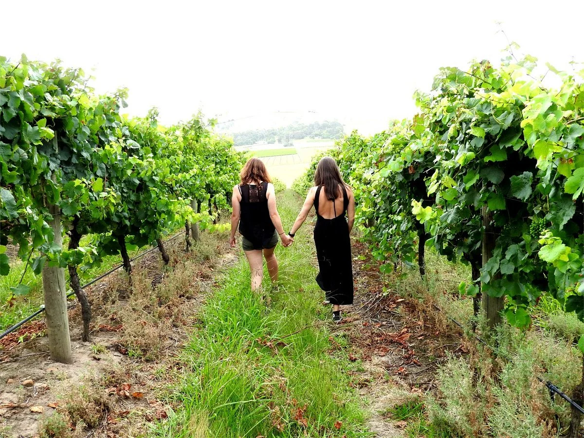 Big Grape Winery Tours
