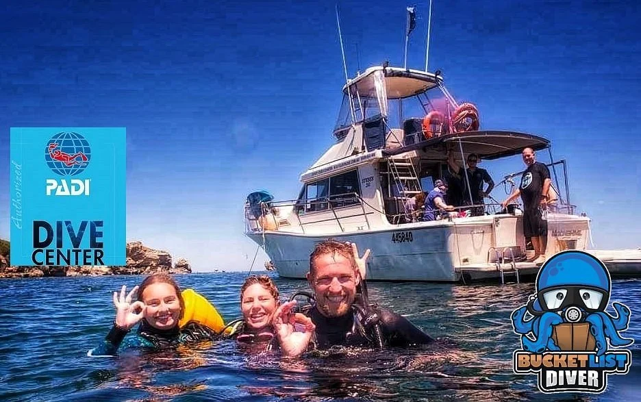 Bucket List Diver