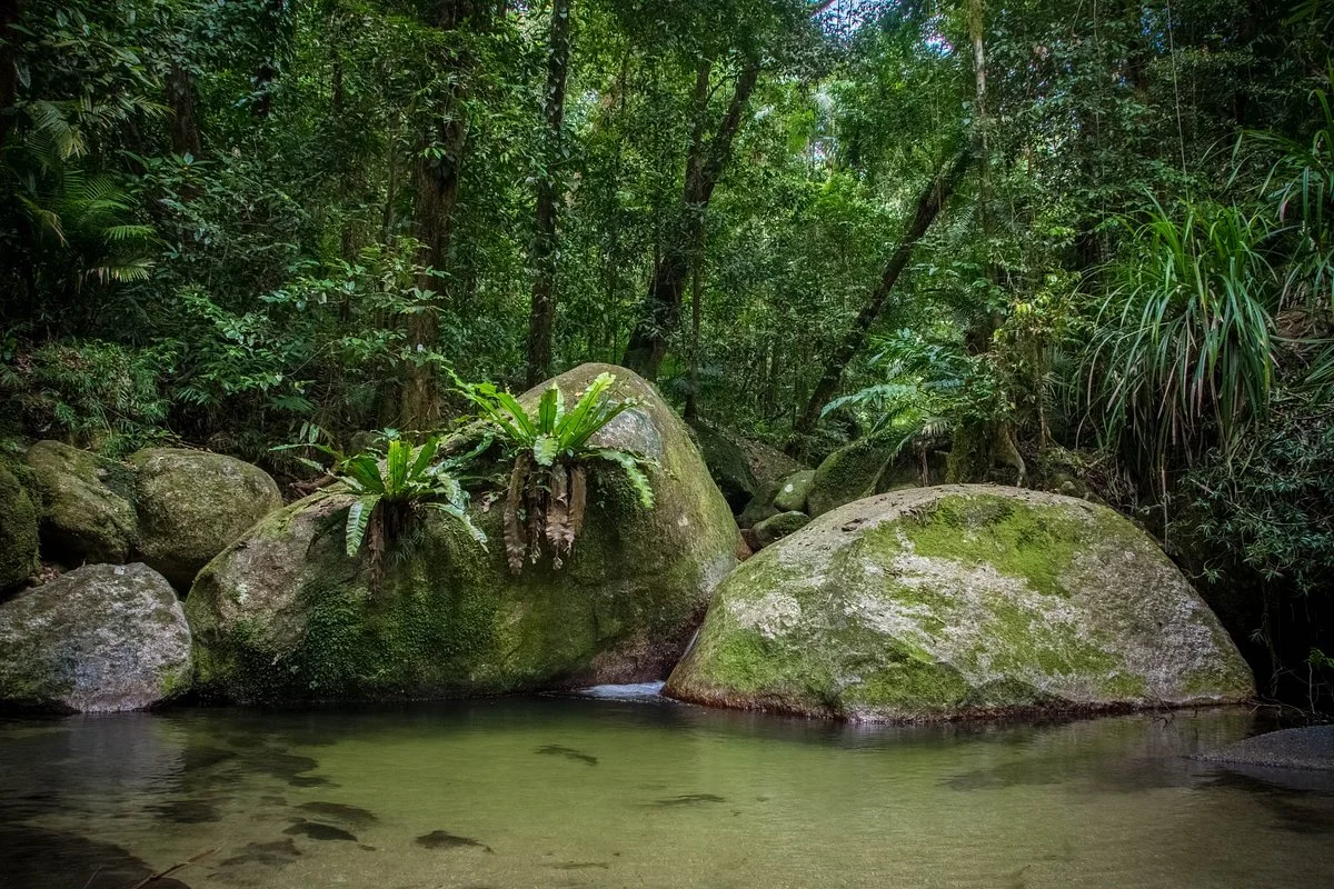 FNQ Nature Tours