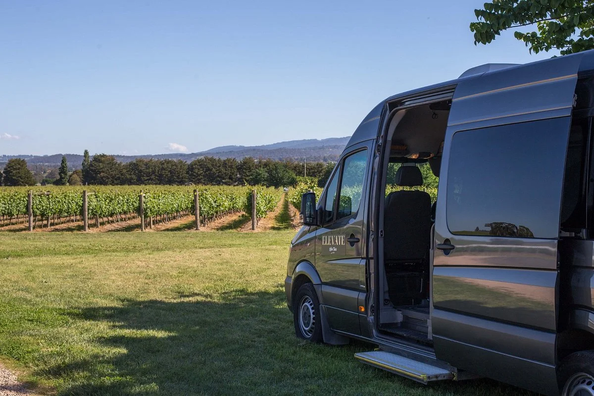 Elevate Wine Tours