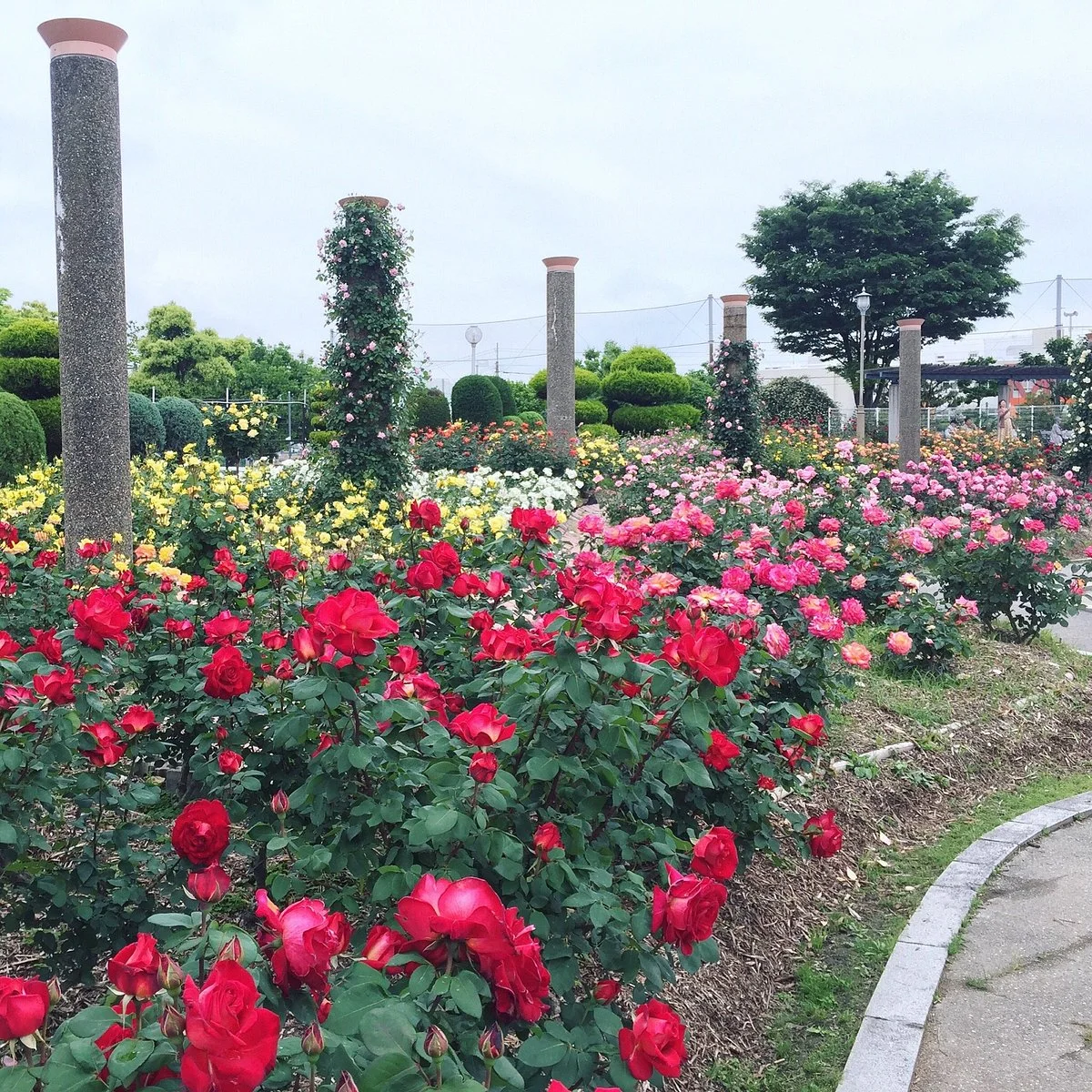Wakazono Park