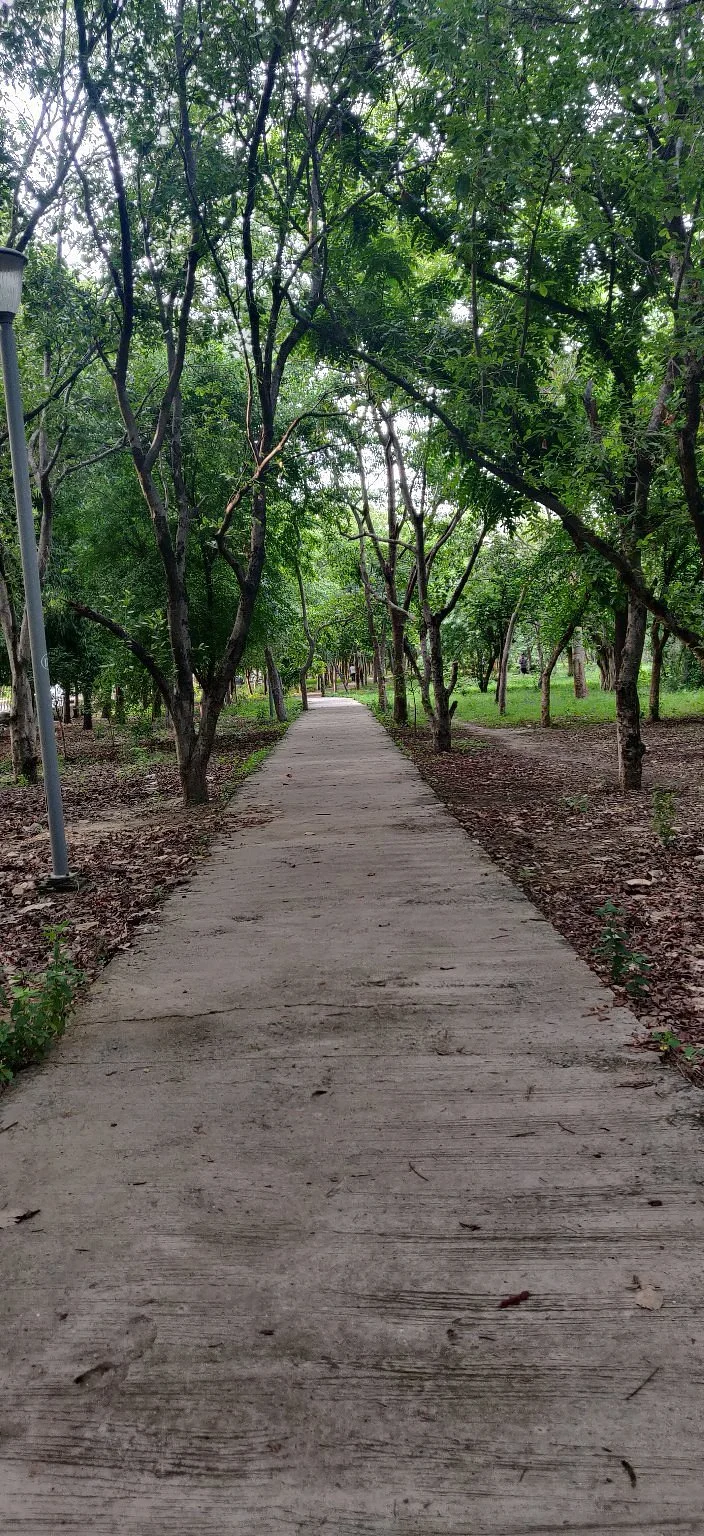 Town Park