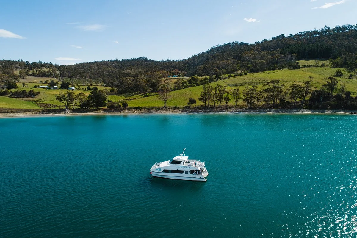 Tasmanian Wild Seafood Adventures