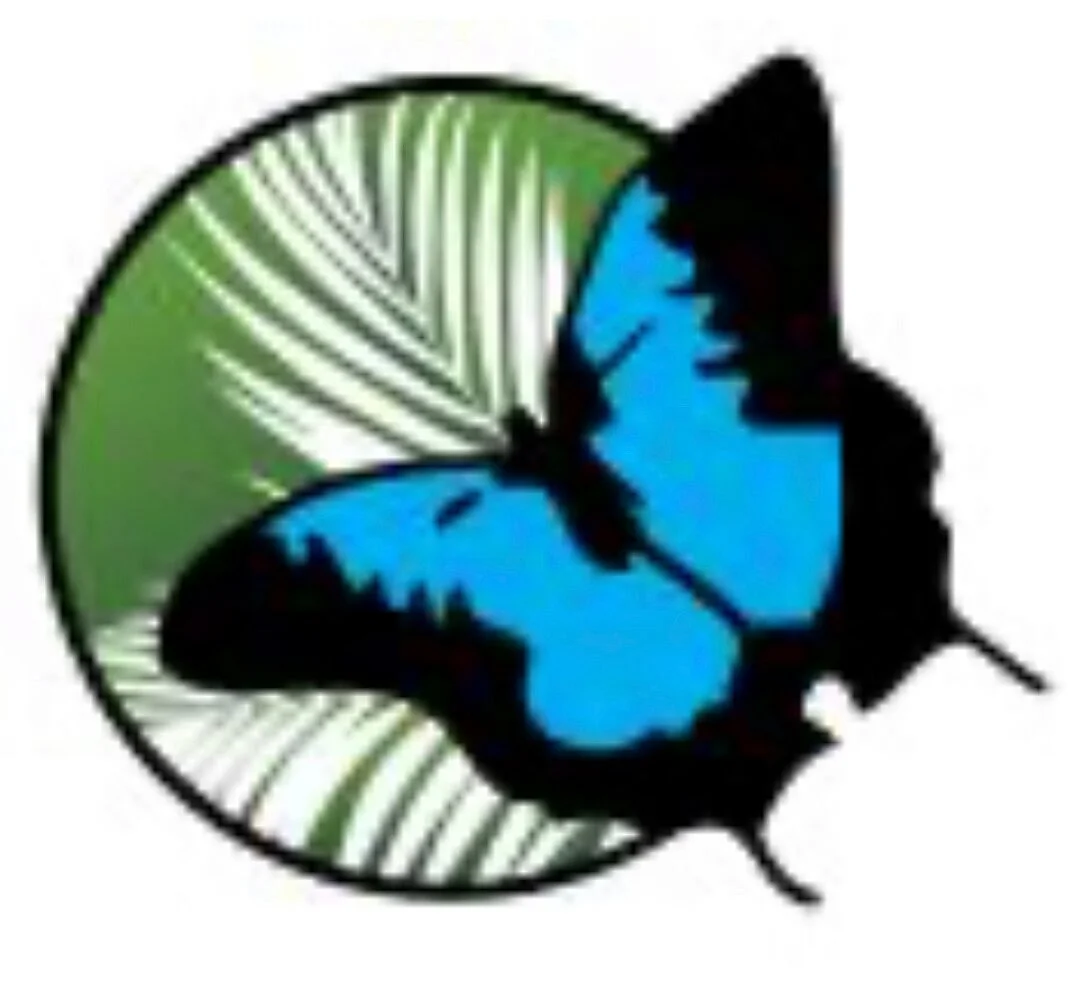 Daintree Safaris