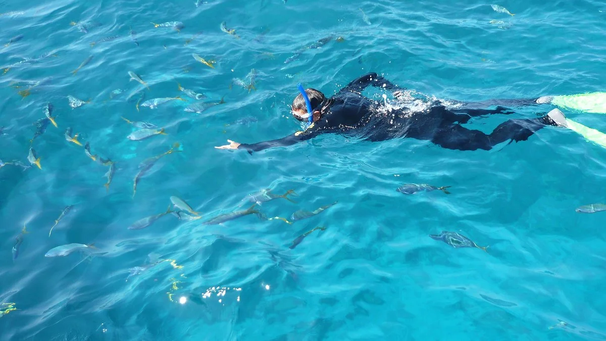 Cairns Premier Reef & Island Tours