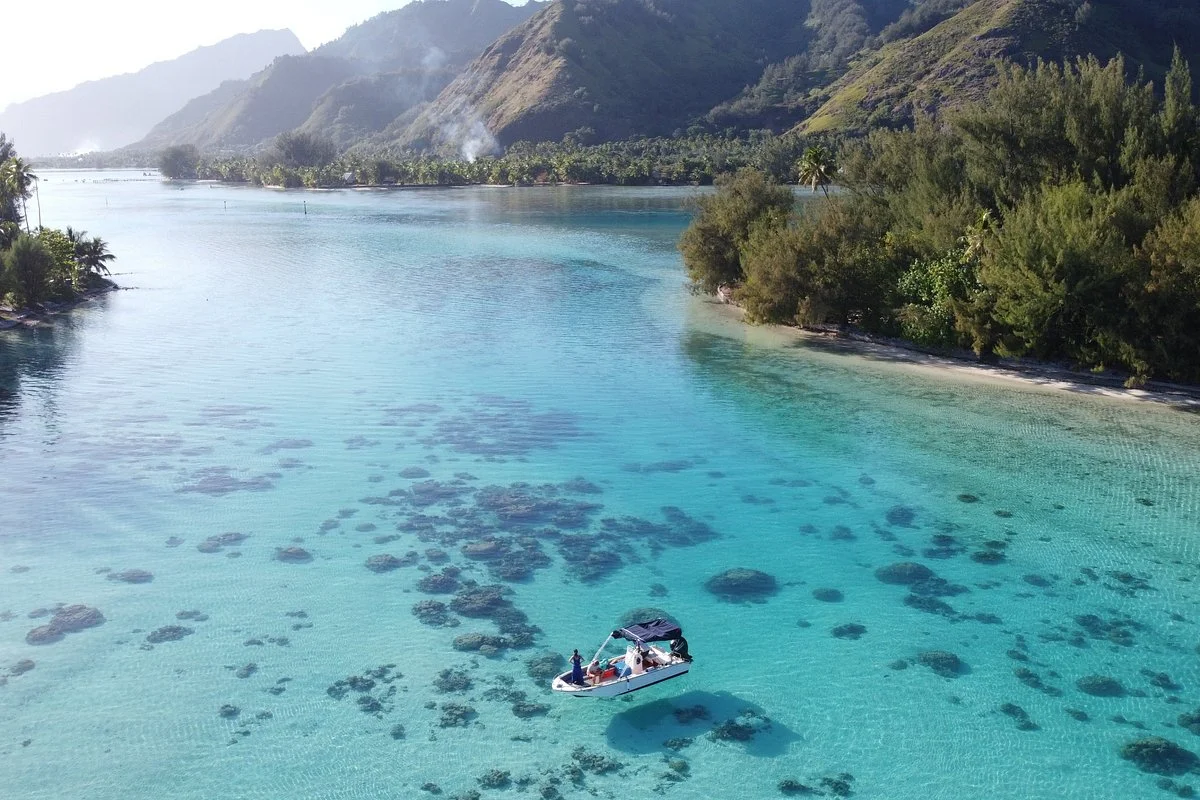 Alex Lagoon Tours Moorea