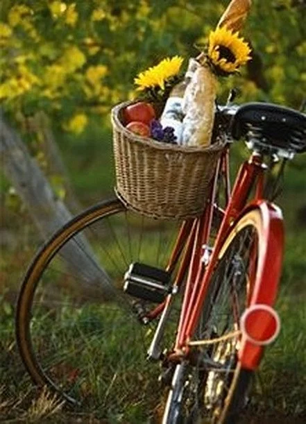 Grapemobile Bicycle Hire & Tours