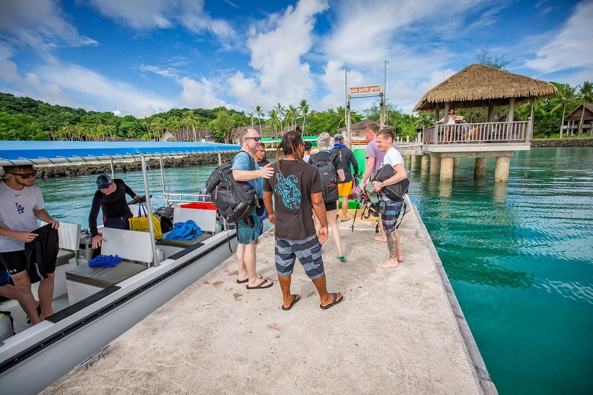 Palau Dive Adventures