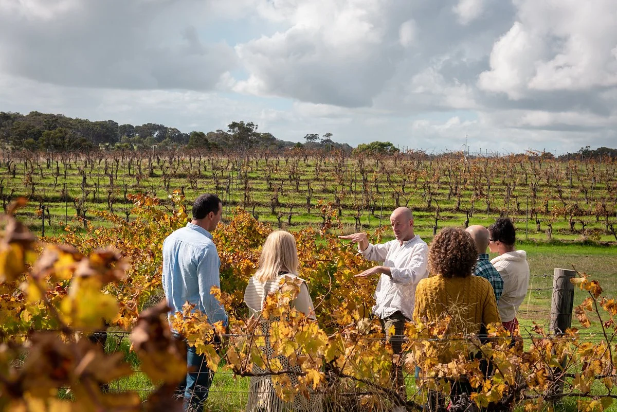 All About Margaret River
