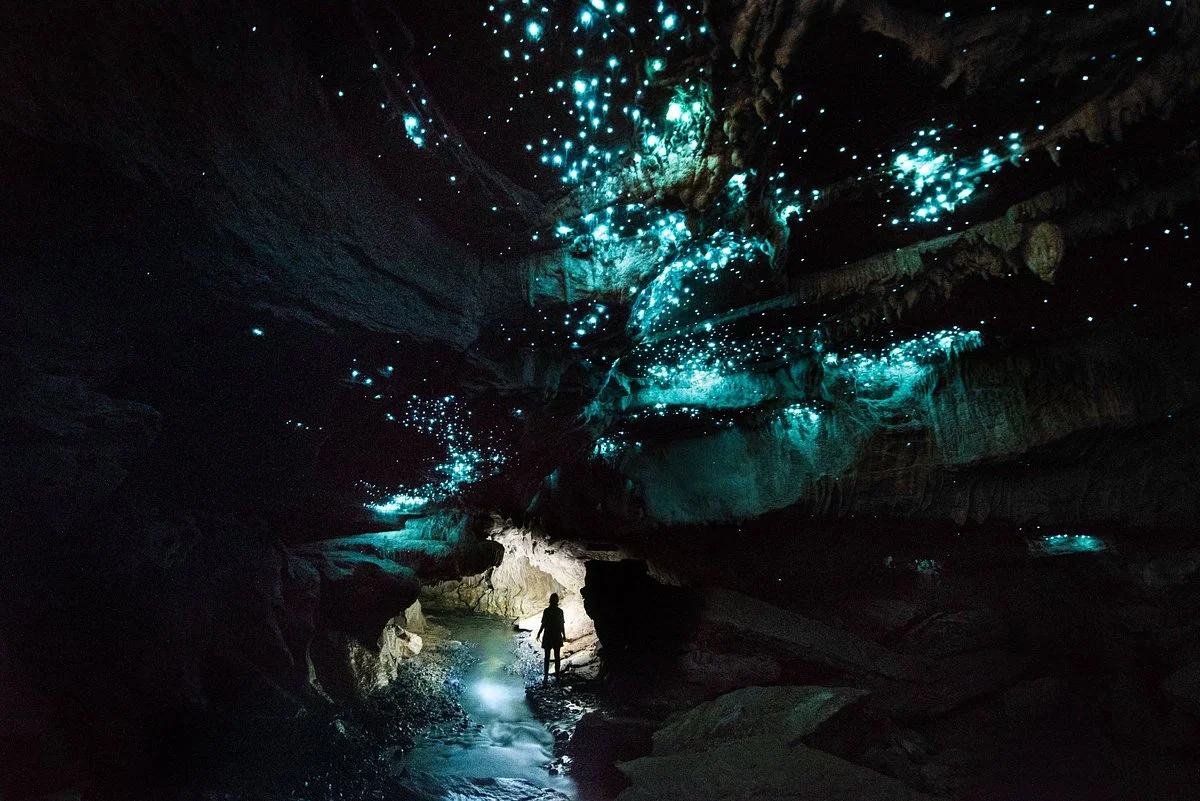 Down to Earth - Eco Cave Tours In Waitomo