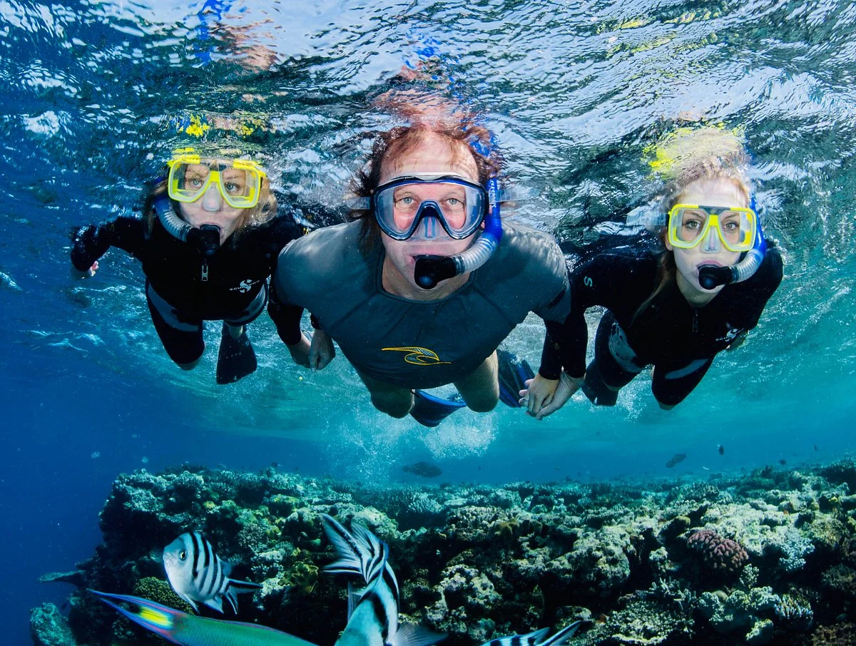 Abc Snorkel Charters