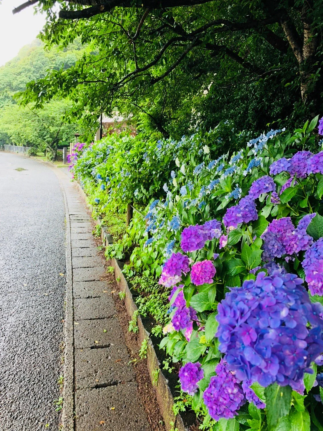 Sumiyoshi Nature Park