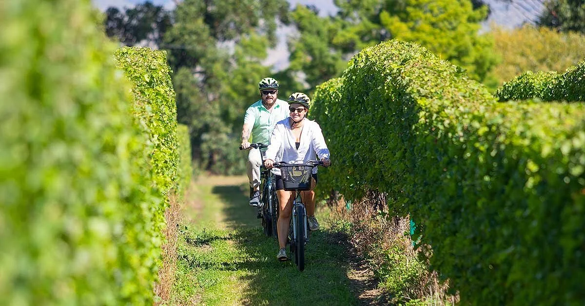 Wine Tours By Bike