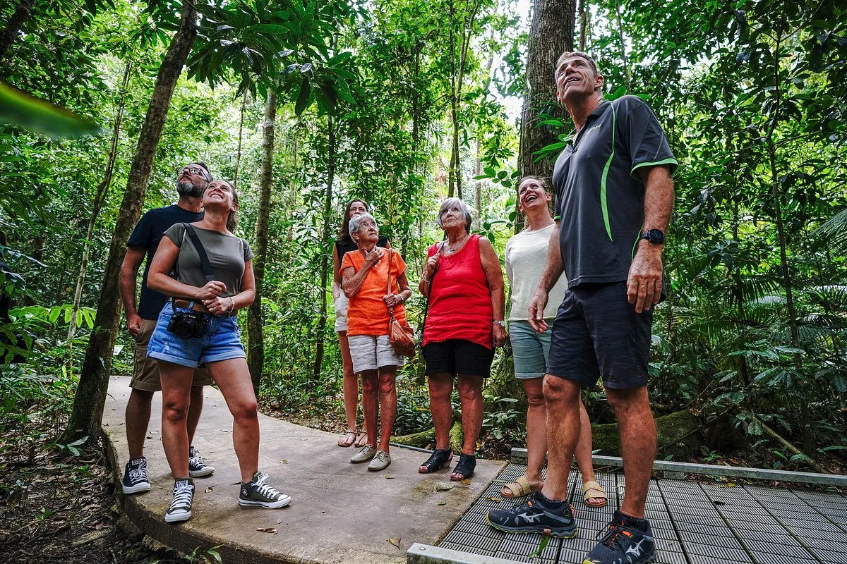 Daintree Discovery Tours