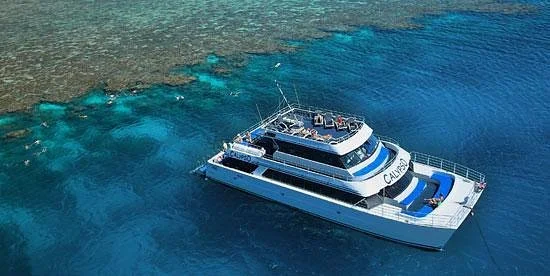 Calypso Reef Cruises