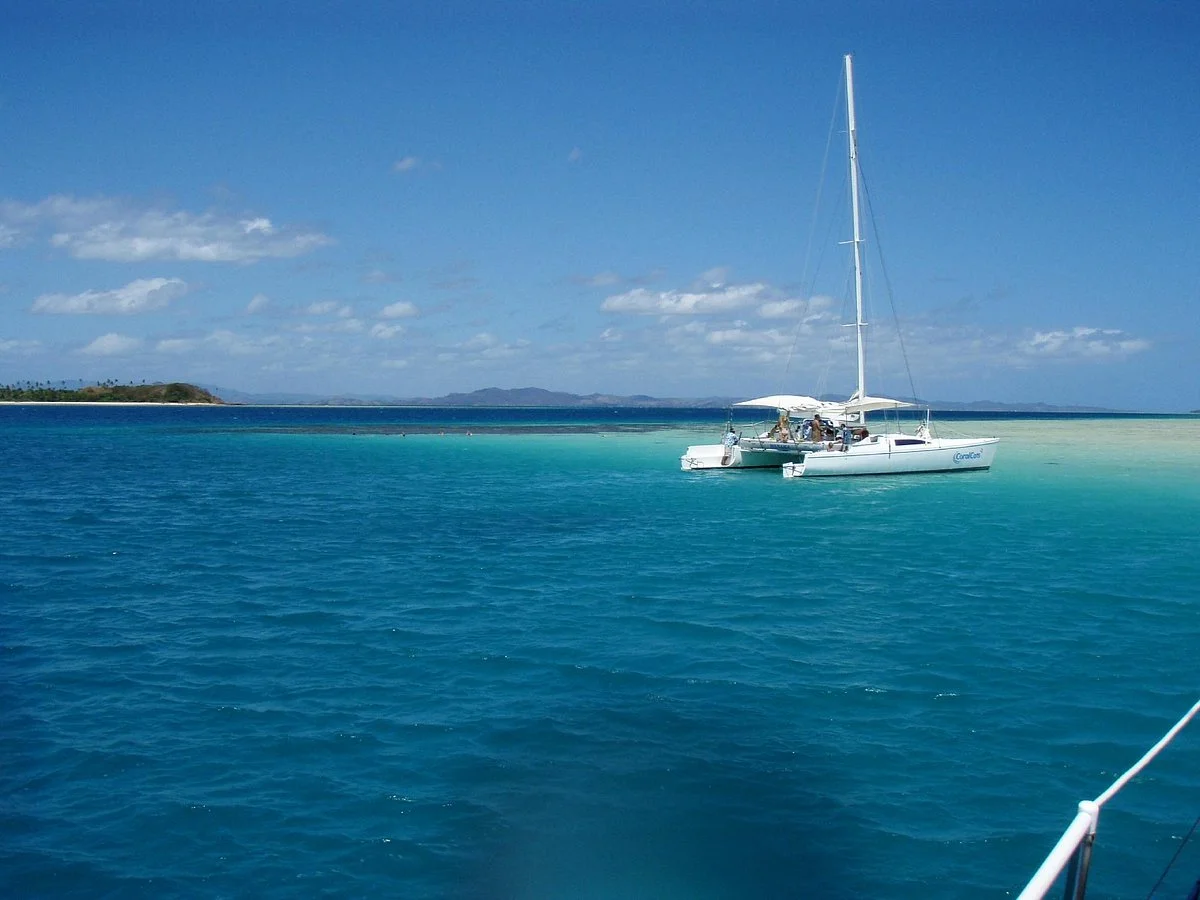 Coral Cats - Day Trips