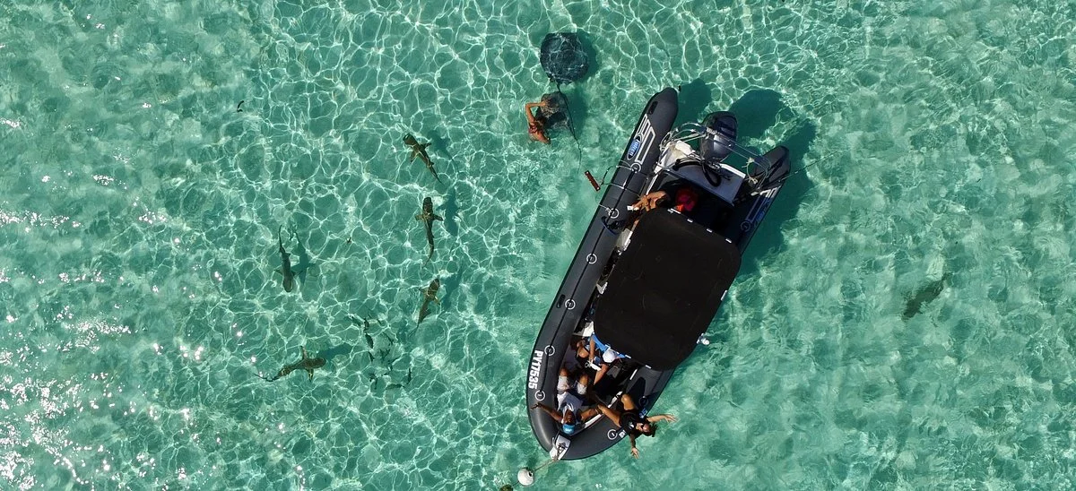 Moorea Ocean Adventures