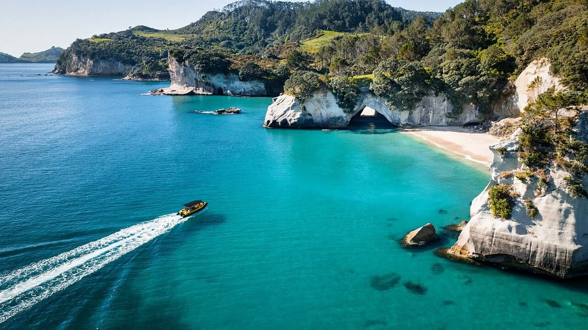 Ocean Leopard Tours