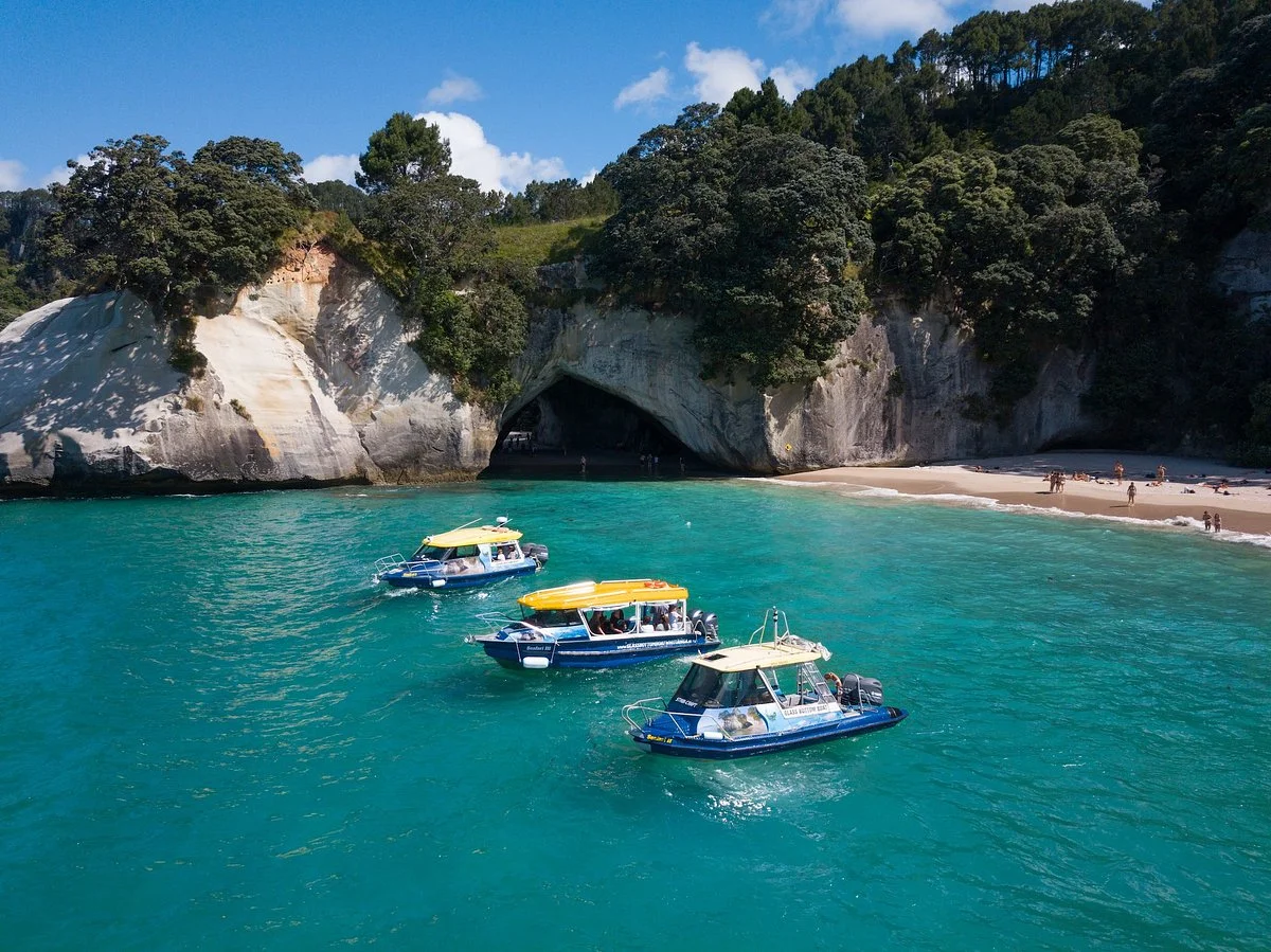 Glass Bottom Boat Whitianga
