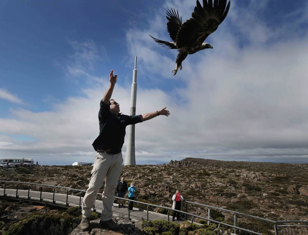Raptor Refuge