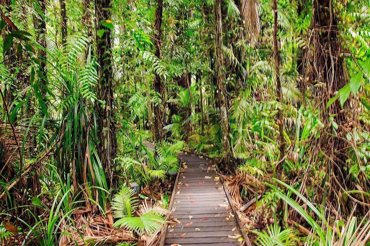 Cairns Botanical Gardens