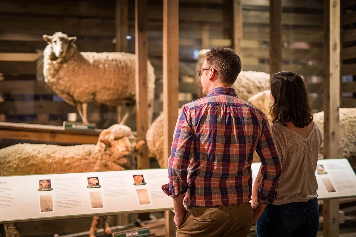 National Wool Museum