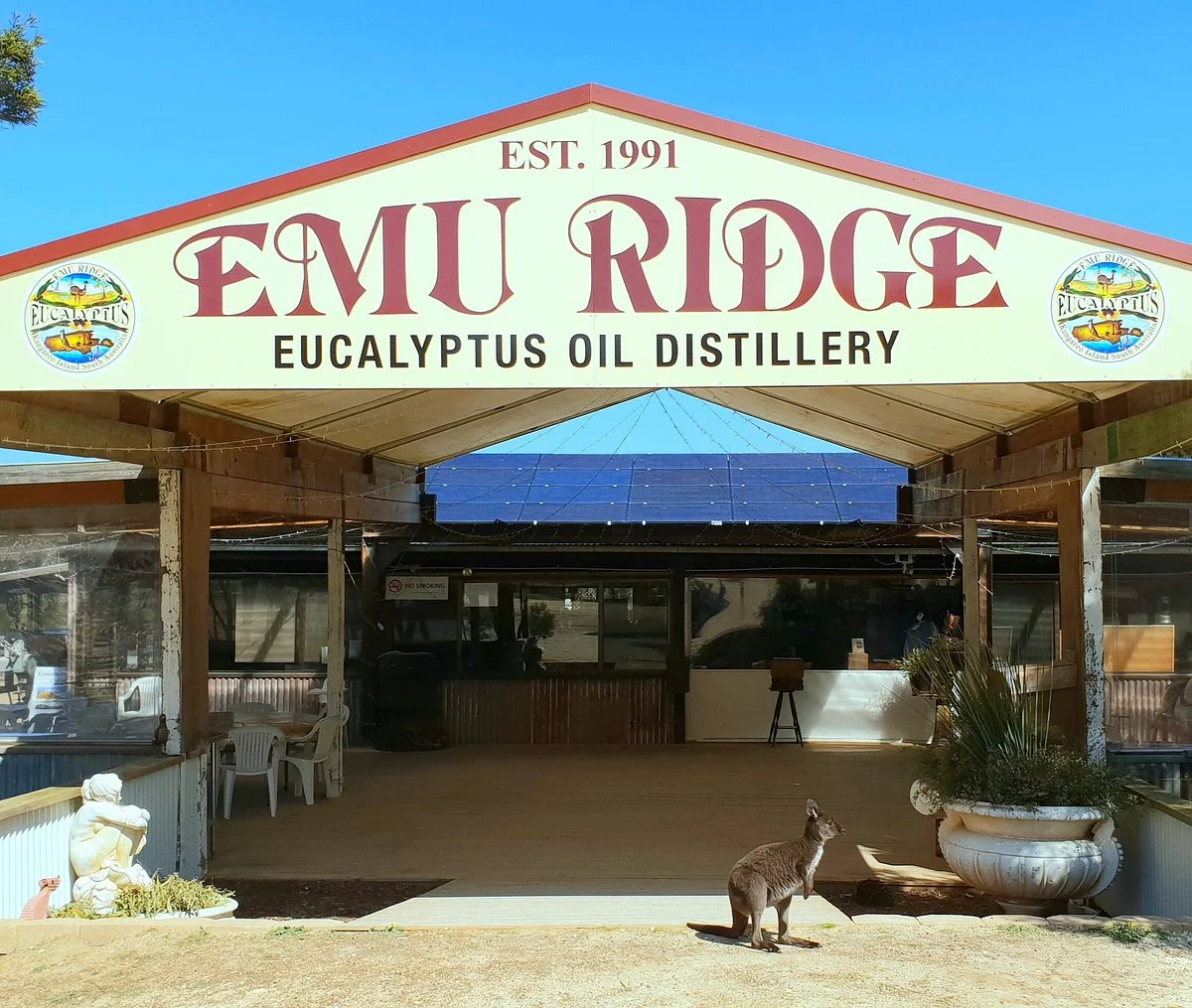 Emu Ridge Eucalyptus