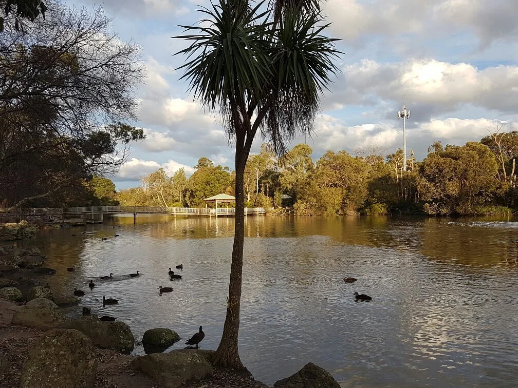 Ringwood Lake