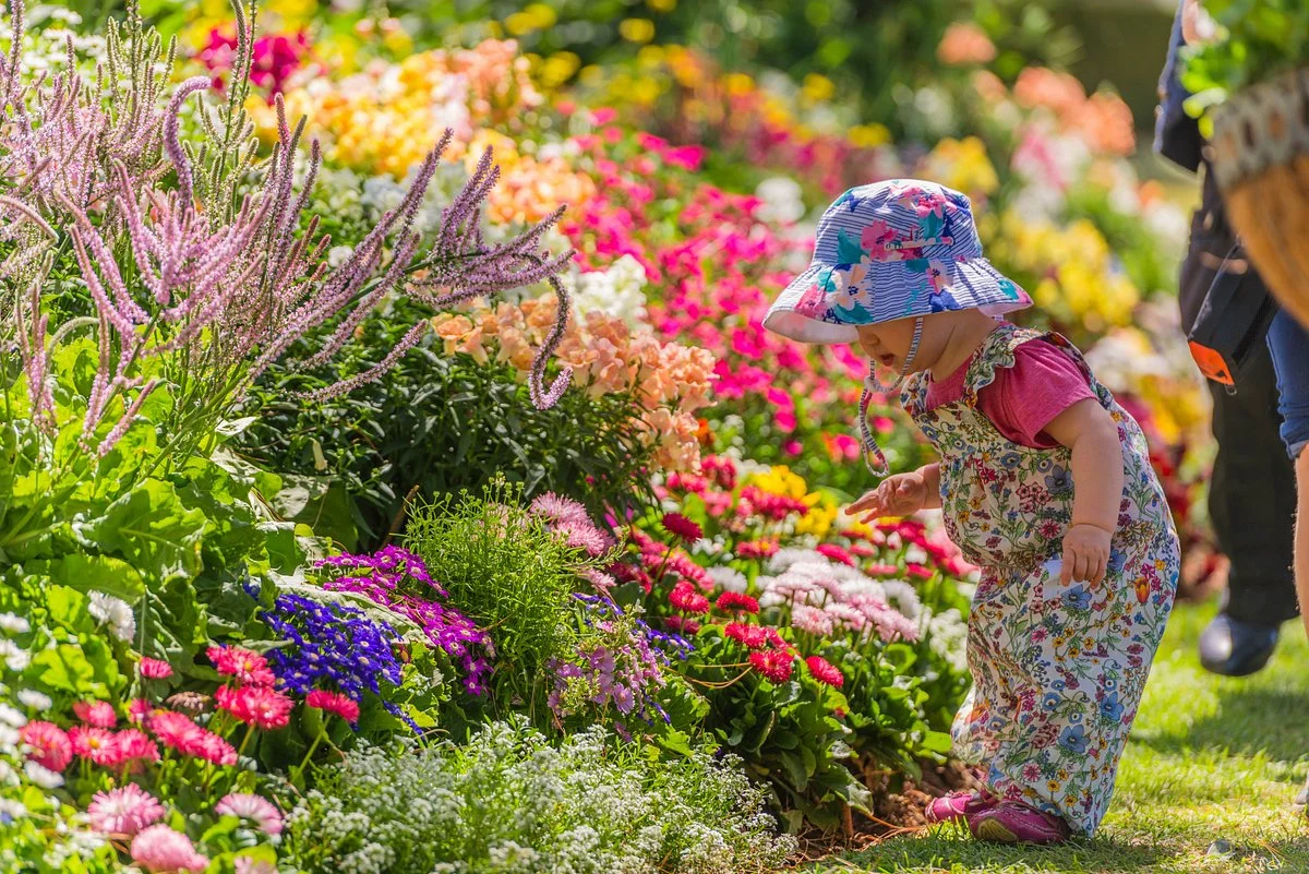 Toowoomba Carnival of Flowers