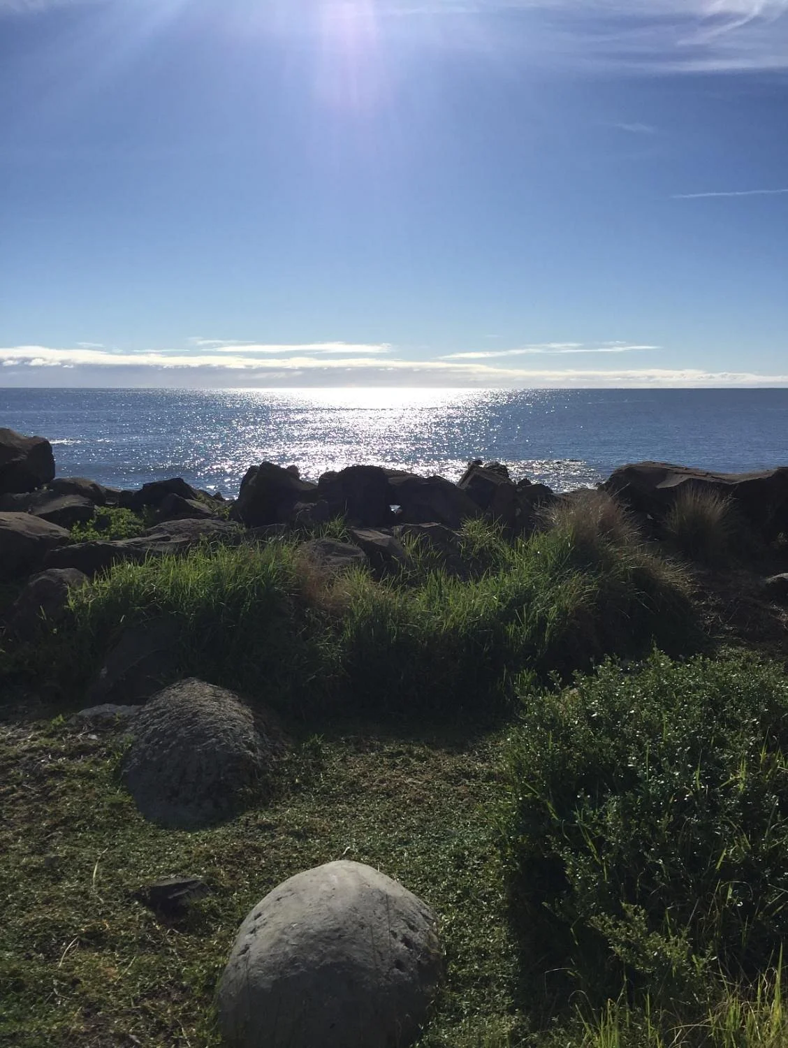 Penguin Observation Centre
