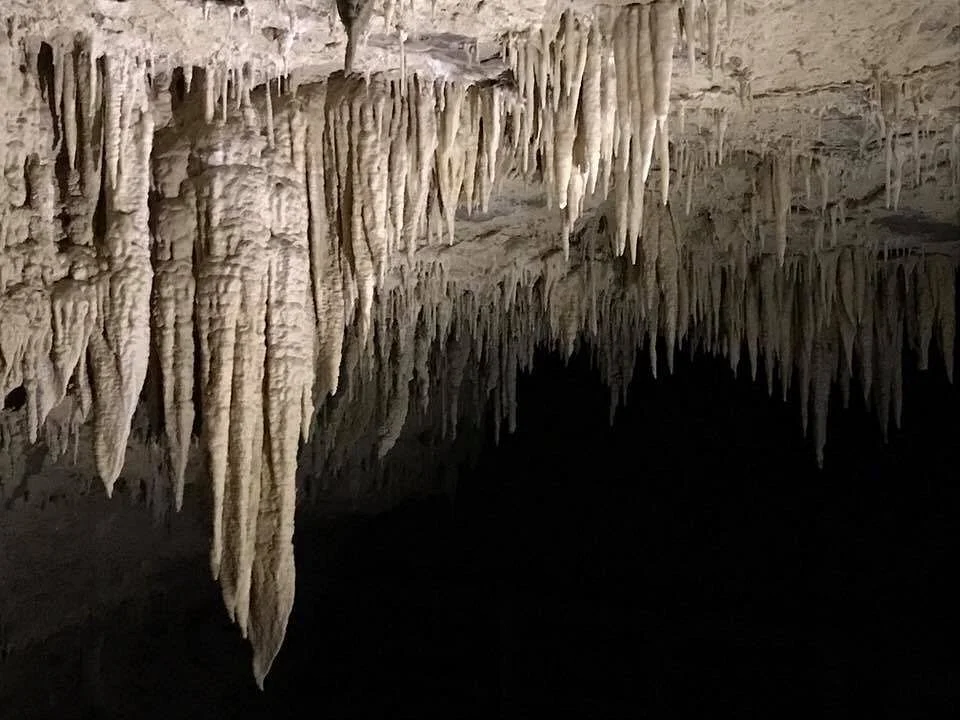 Footwhistle Glowworm Cave