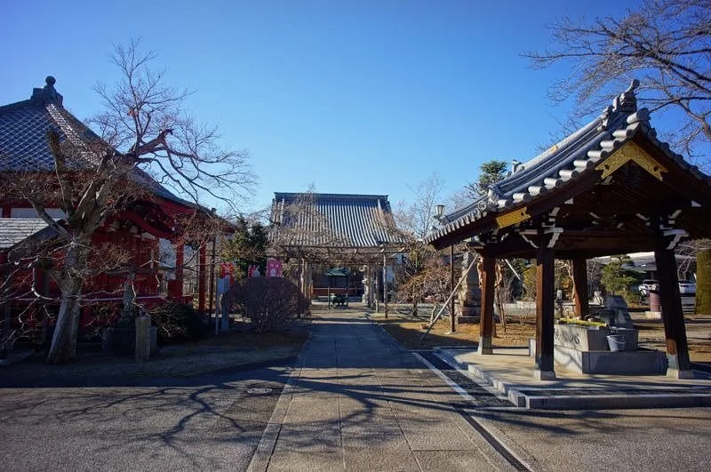 Saiko-in