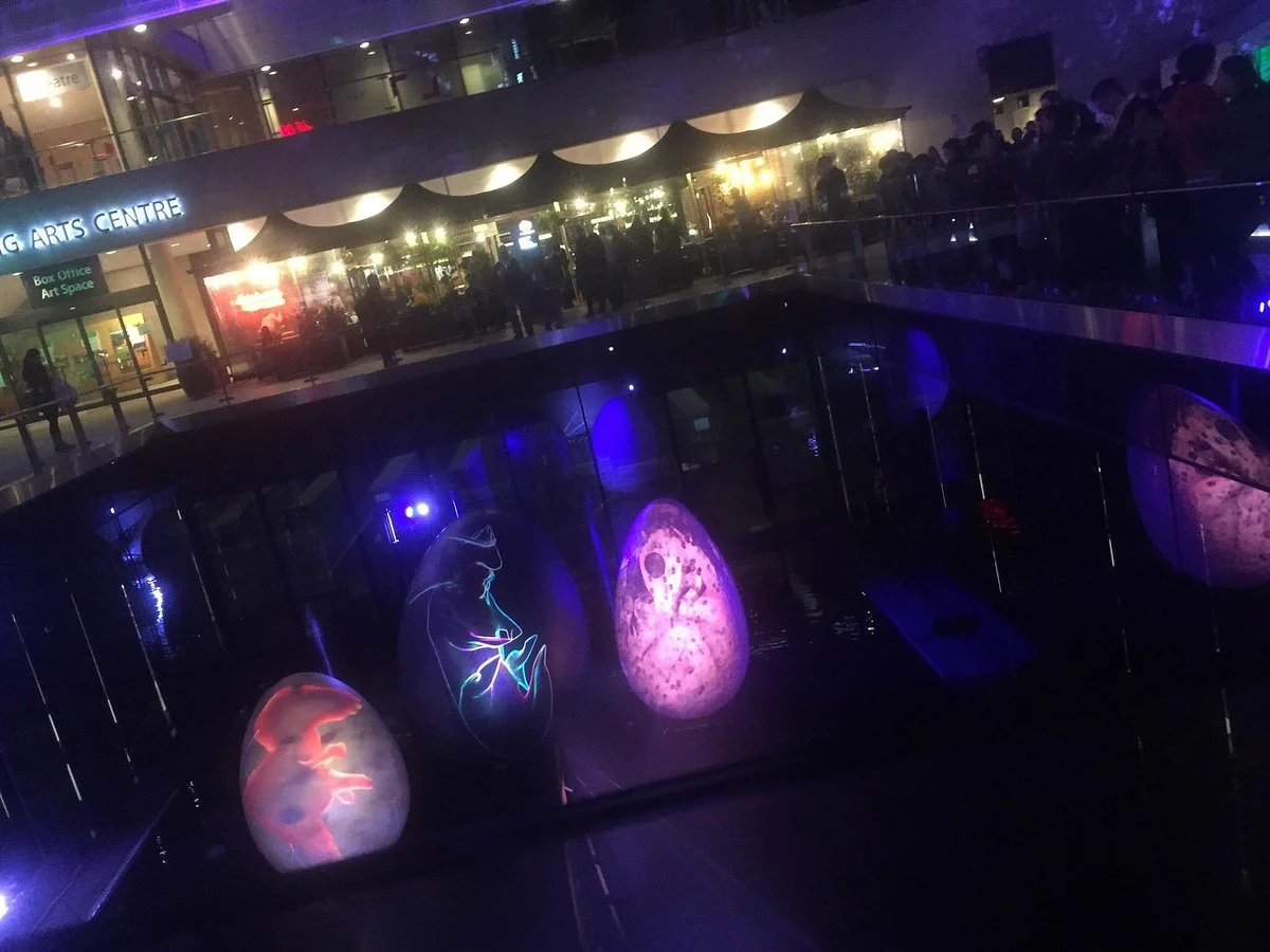 The Concourse