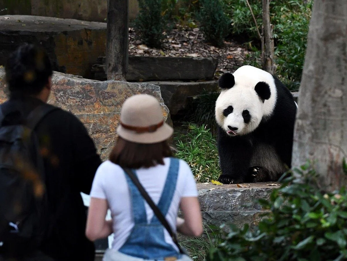 Adelaide Zoo