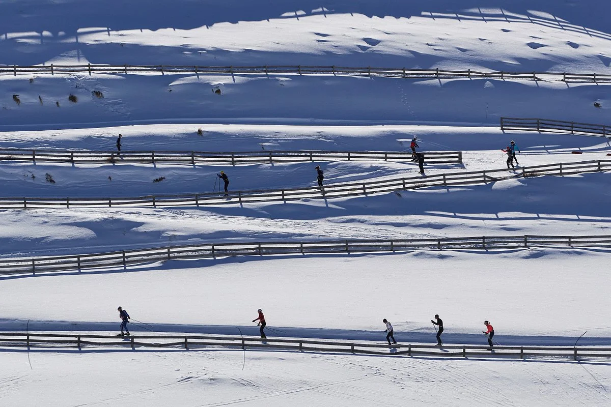 Snow Farm NZ