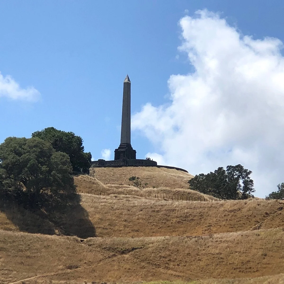 One Tree Hill (Maungakiekie)