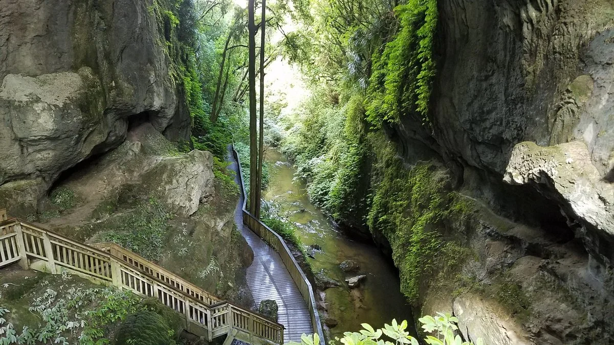 Mangapohue Natural Bridge Walk