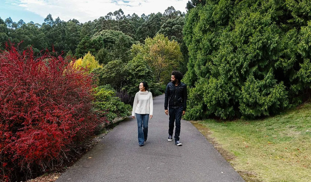 Dandenong Ranges Botanic Garden