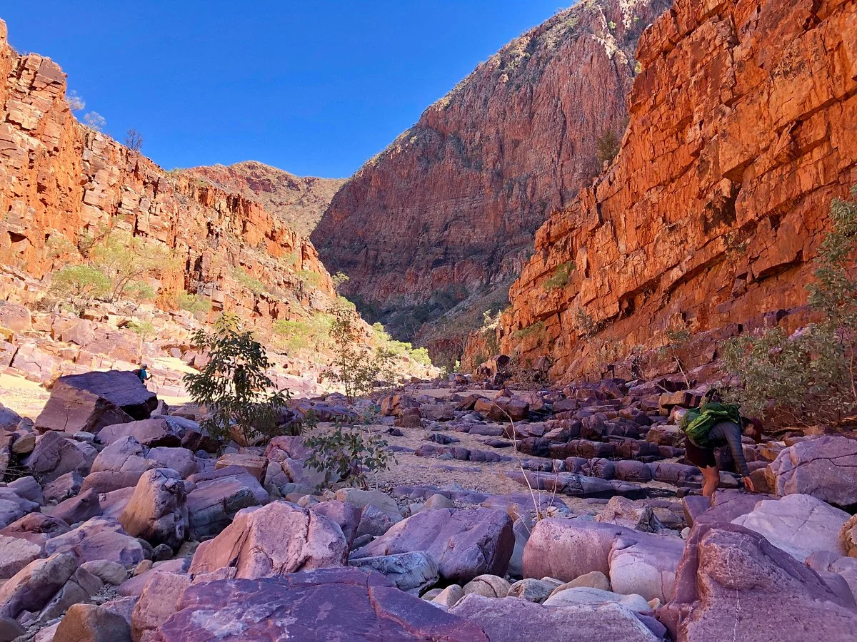 The Larapinta Trail