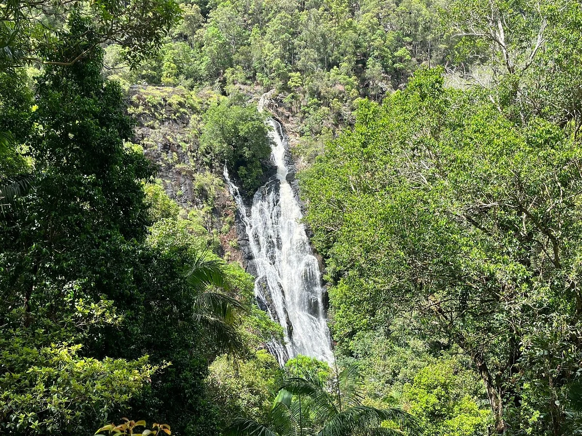 Kondalilla Falls