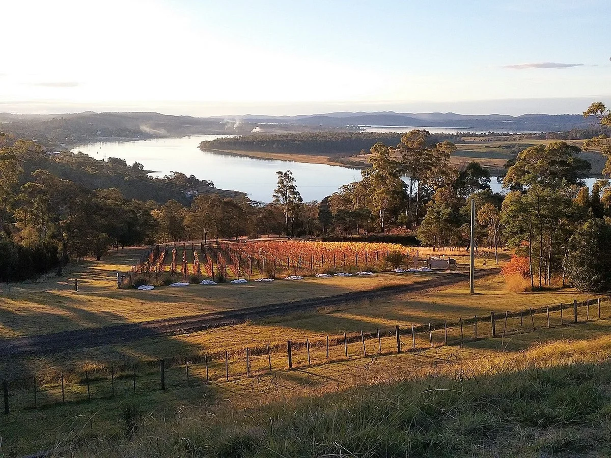 The Tamar Valley