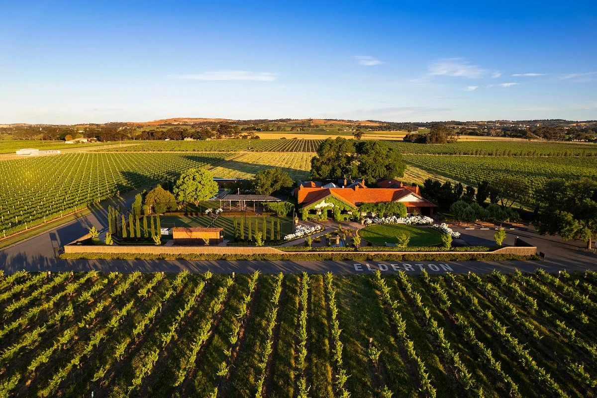Elderton Wines