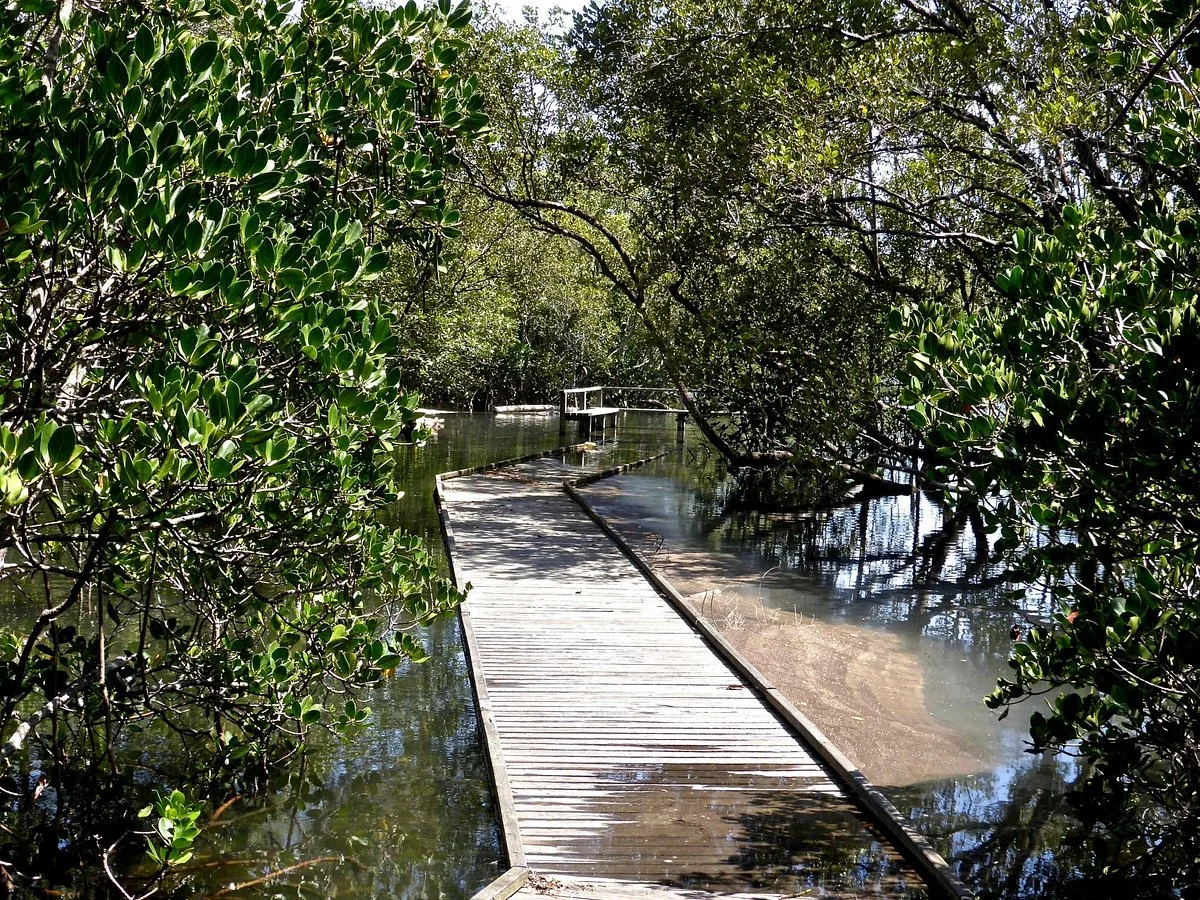 Minjungbal Aboriginal Cultural Centre