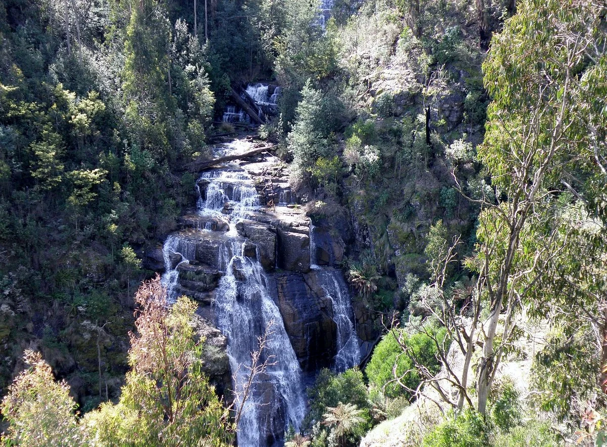 Mason Falls Picnic Ground