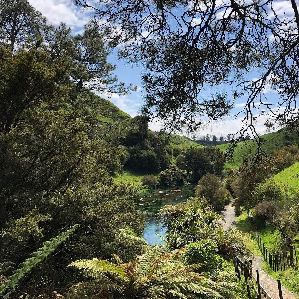 Te Waihou Walkway