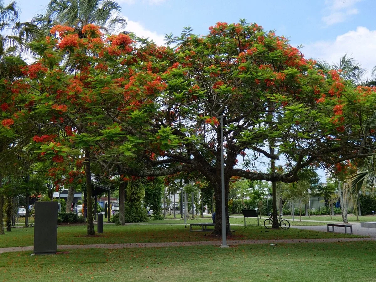 Munro Martin Parklands