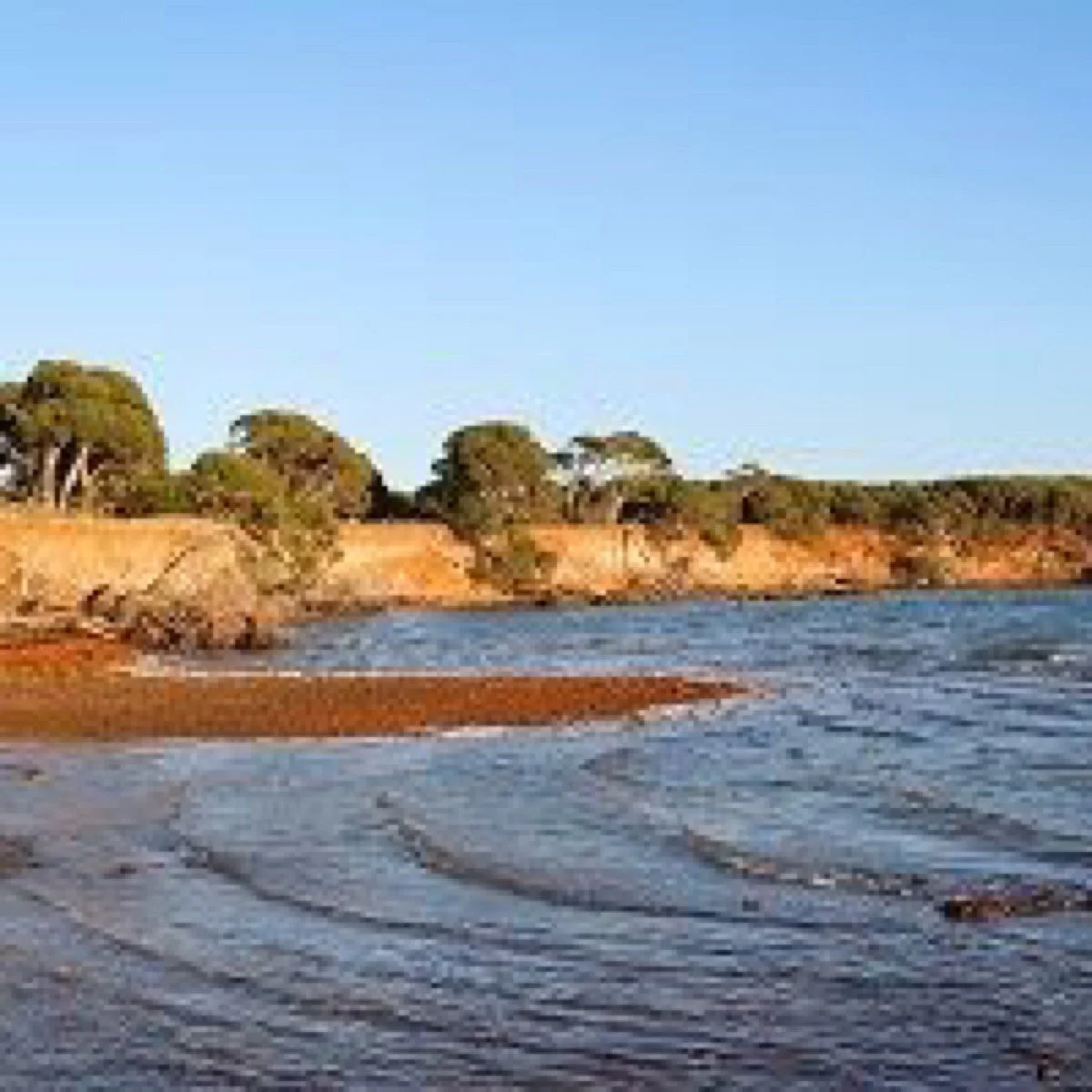 Scenic Estate Conservation Reserve