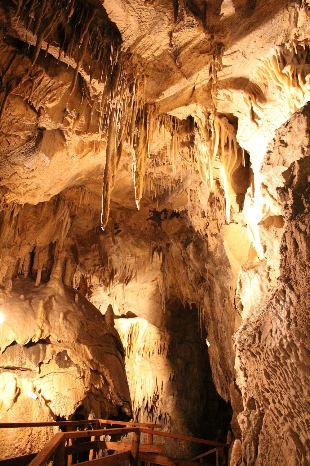 Ngarua Caves