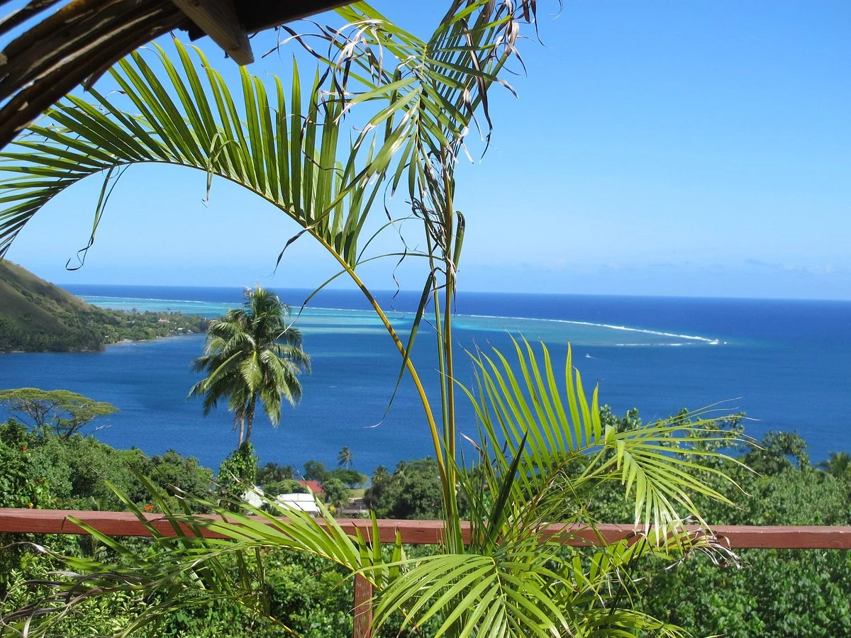 Moorea Tropical Garden